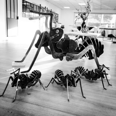 Décoration de jardin - Fourmis